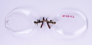 Pincenez, Kneifer, Brillenkneifer, Zwicker